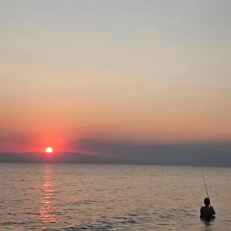 Soul Asylum - Find Your Peace! *